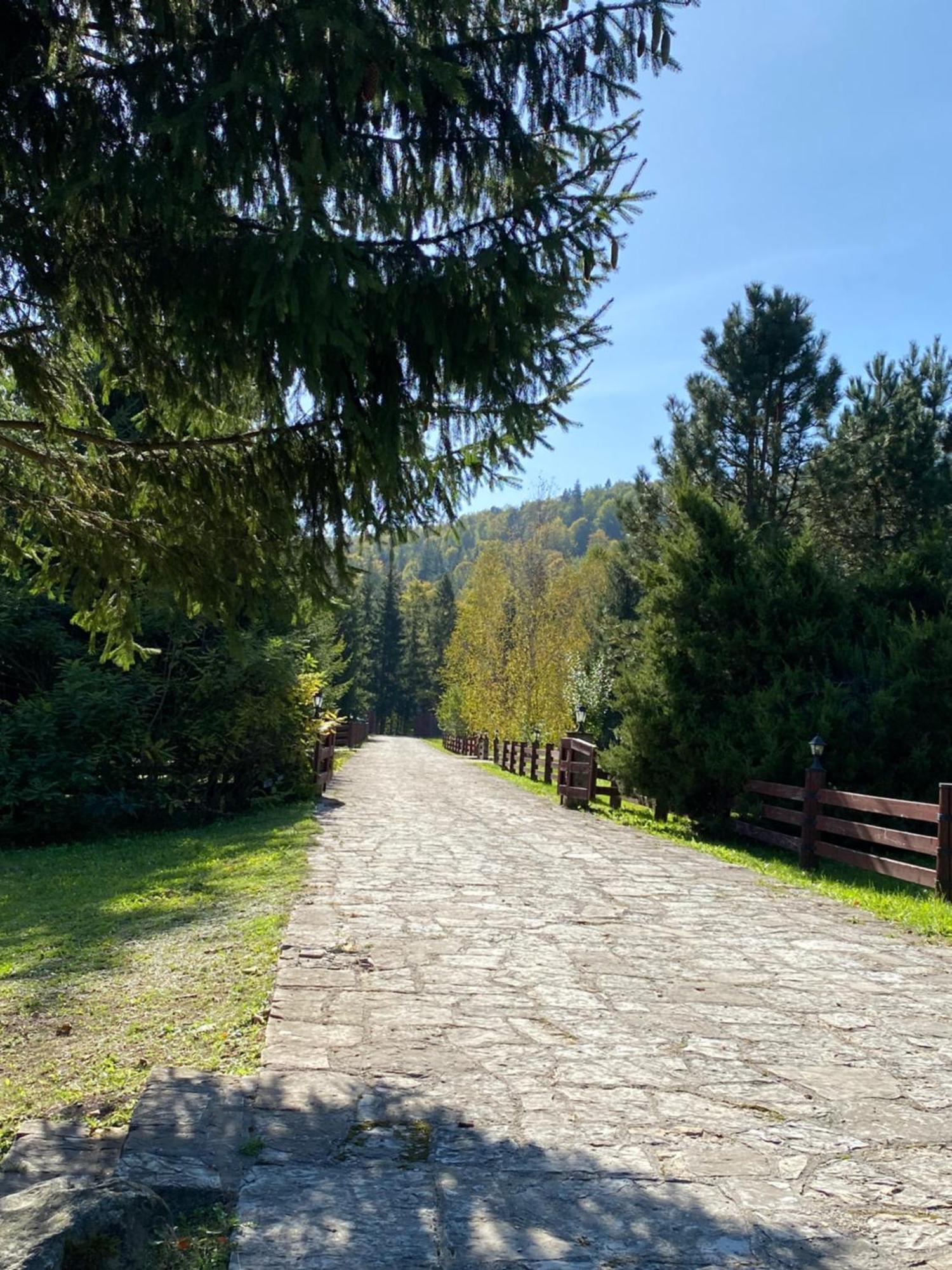 Relaxation In Guta Гута Покращене Шале Exterior photo