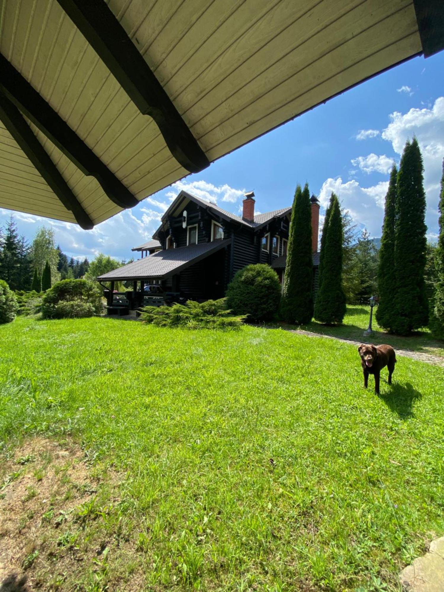 Relaxation In Guta Гута Покращене Шале Exterior photo