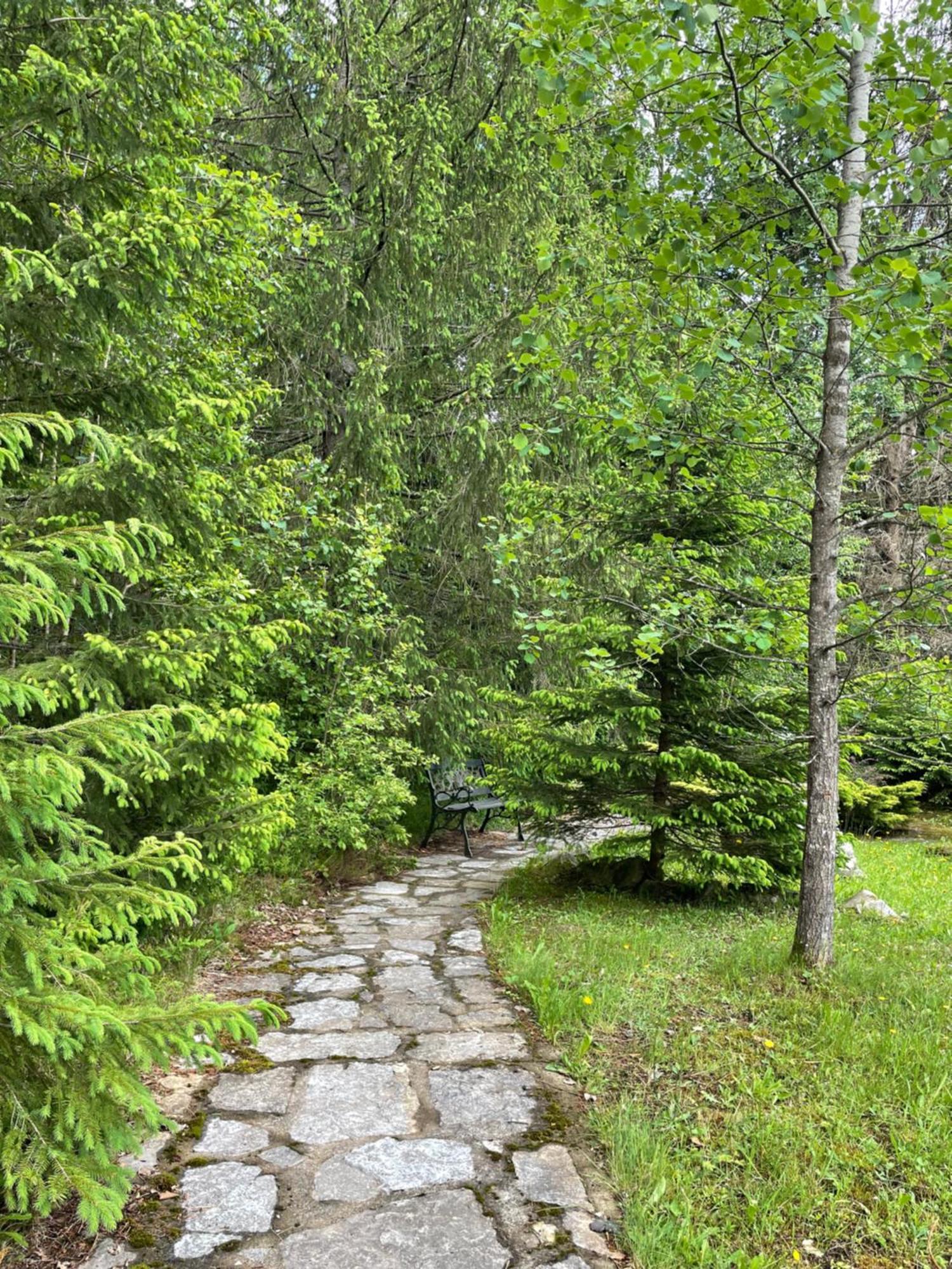 Relaxation In Guta Гута Покращене Шале Exterior photo